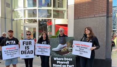 PETA Activists Protest Pharrell Williams ‘Piece By Piece’ Press Screening at Toronto Film Festival