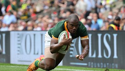 Springboks earn scrappy win over brave Wales