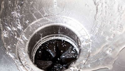 It’s Probably Time to Clean Your Garbage Disposal—Here’s How