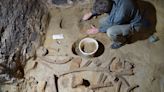 Ancient Mammoth Bones Discovered in Austrian Wine Cellar | Artnet News
