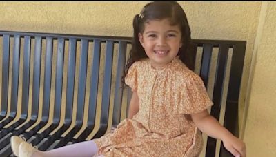 WATCH LIVE: Gwinnett DA to provide update after 4-year-old girl hit, killed in Mall of Georgia's parking lot