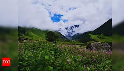 Valley of Flowers National Park reopens for tourists in Uttarakhand | Dehradun News - Times of India
