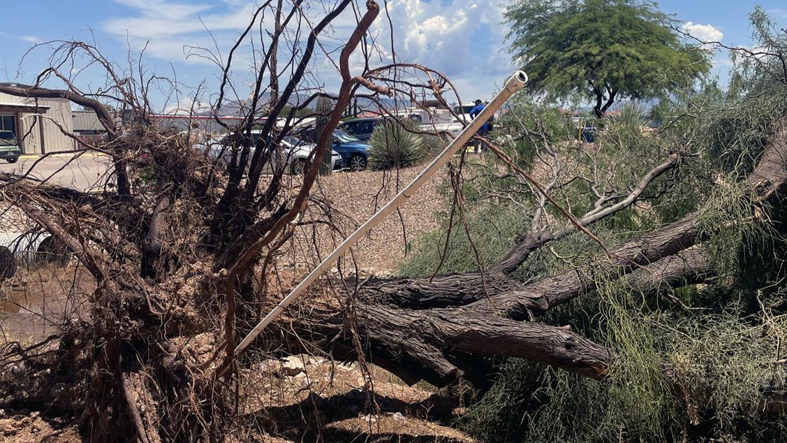 Tornado touches down in Tucson, officials confirm