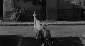 8. Zorro and the Flag of Truce