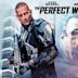 The Perfect Weapon (2016 film)