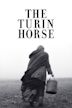 The Turin Horse