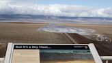 Scenic Lake Manly grows in Death Valley’s Badwater Basin; ‘good bloom’ from rains anticipated