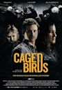 Caged Birds