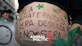 ¡Es ley en Chihuahua! Secretaría de Salud debe brindar servicio de aborto voluntario hasta la semana 12.6