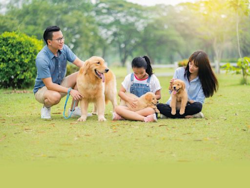 友善寵物之城 帶毛小孩暢玩台中Fun風趣！