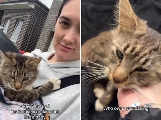 Woman opens door and Cat boldly walks in, but there's just one problem