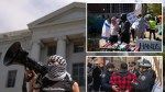 COVID shutdowns, isolation to blame for pro-Palestine protests, experts say
