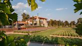 This $8 Million Vineyard Estate in Mexico Sits Amid Polo Fields and Olive Trees