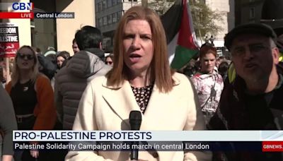 Pro-Palestine demonstrations outside London university 'complicit in Israel's crimes and genocide'