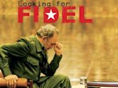 Looking for Fidel