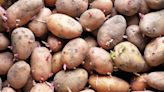 PSA: Potato Sprouts Are Actually Toxic