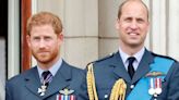 Harry's blunt two-word response to William's plea for reconciliation meeting