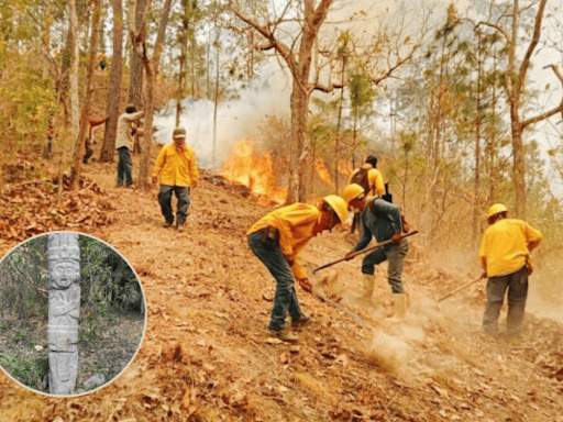 ¿Hallaron en Los Chimalapas un monolito prehispánico durante incendios en selva de Oaxaca? Esto es lo que se sabe