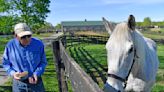 For ex-Derby winner Silver Charm, it's a life of leisure at Kentucky retirement farm