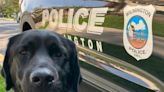 Meet Barry, Wilmington Police Department's new trauma and wellness dog