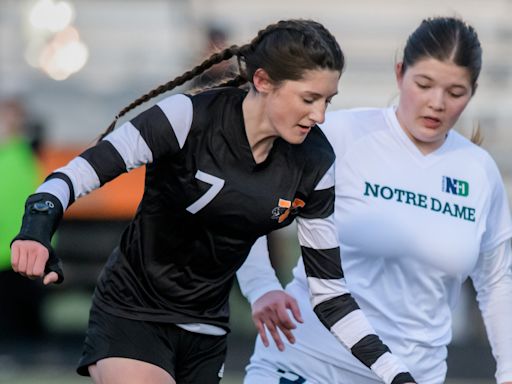 Six super soccer breakouts ahead of the Illinois girls high school playoffs