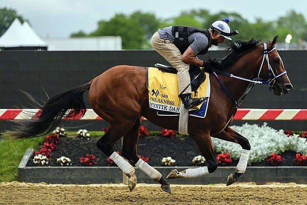 Mystik Dan runs second in Preakness Stakes | Arkansas Democrat Gazette