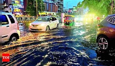 TN 2050: Wet, sweat, go! | Chennai News - Times of India