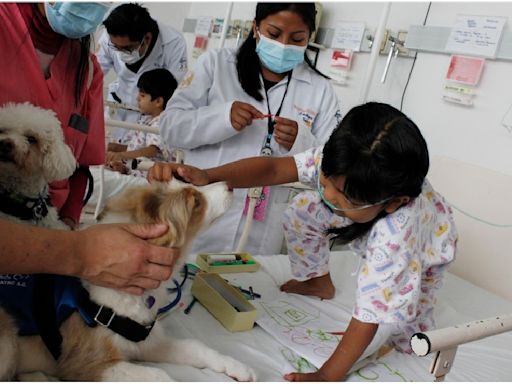 Hospital Pediátrico de Coyoacán brinda terapia asistida con perros