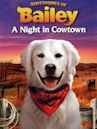 Adventures of Bailey: A Night in Cowtown