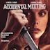 Accidental Meeting (1994 film)