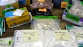 EUA apresentam primeiras acusações contra fabricantes chineses de fentanil