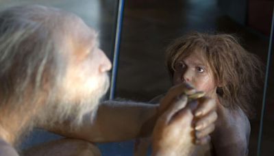 Neanderthal child may have had Down’s syndrome