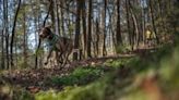 70-acre off-leash dog park opens at Whitewater Center