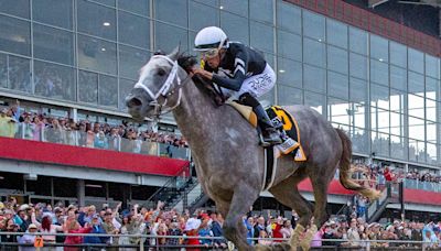 Bloodlines Presented By Walmac Farm: Preakness Winner Seize The Grey A Strong Final Act For Sire Arrogate, Breeder Otto