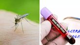 2 More Deaths Reported Due To West Nile Virus in New Jersey; How To Protect Yourself From The Infection