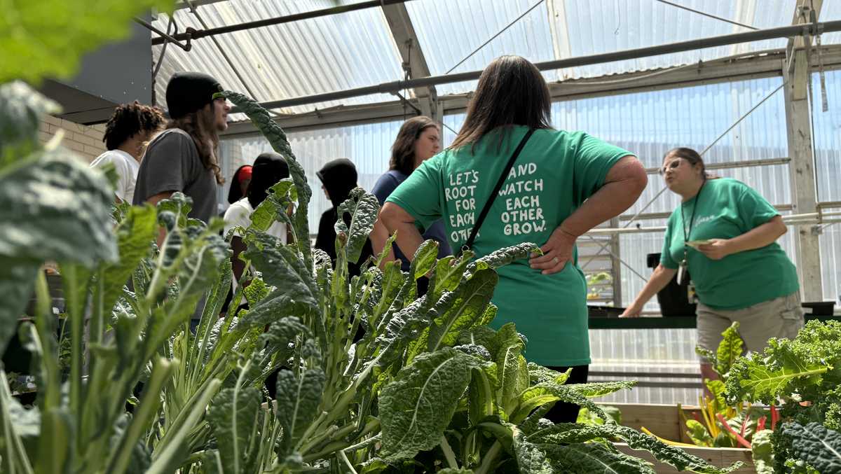 Youth Harvest Project provides education, food for community in New Albany