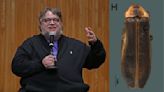 Guillermo del Toro ya es un ser del bosque: nombran a luciérnaga en honor al director tapatío