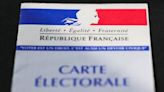 How does France's lower house National Assembly work?