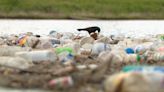 Waterways trashed by storms spark calls for plastic bottle deposit