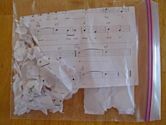 The dog ate my homework