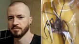 Shopper's 'shock horror' after finding huntsman spider in pack of Tesco bananas