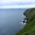 Cape St. Mary's Ecological Reserve