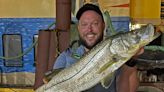 Snook bite remains strong in many spots in Tampa Bay