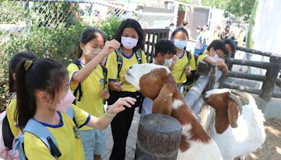 從畜牧場到動物園 台南小學生化身動物住宅魔法師觀察動物福利