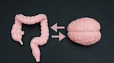 Review explores gut-brain axis for sleep and metabolic health