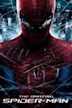 The Amazing Spider-Man (film)