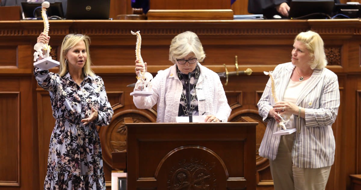 Three female GOP state senators who filibustered S.C. abortion ban lost their primaries