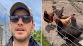 Chris Pratt Hangs Out with His Chickens’ on Washington State Ranch: ‘Just Me and the Girls’