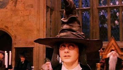 Actor que dio voz a sombrero seleccionador de Harry Potter demanda a WB