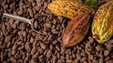 El boom por el consumo de productos artesanales impulsa la industria del cacao en Tailandia